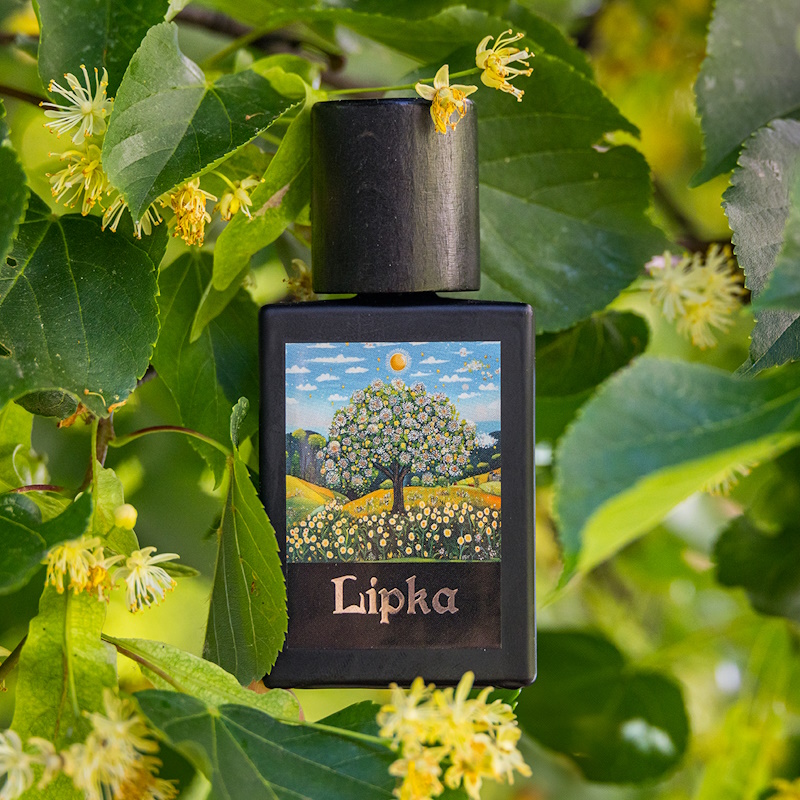 Lipka - polskie perfumy o zapachu lipy od Fyyre Perfumes